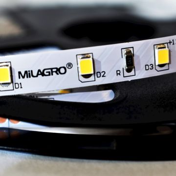 Milagro LED STRIP ML4748 LED traka 24W/500cm IP20