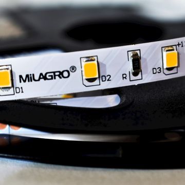 Milagro LED STRIP ML4749 LED traka 24W/500cm IP20