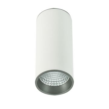 Italux MOLDES SLC7392/12W 4000K WH+GR Natkriveno downlight svjetlo 1x12W/LED 820LM IP20
