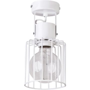 Sigma Lighting LUTO 31146 Reflektor 1x60W/E27