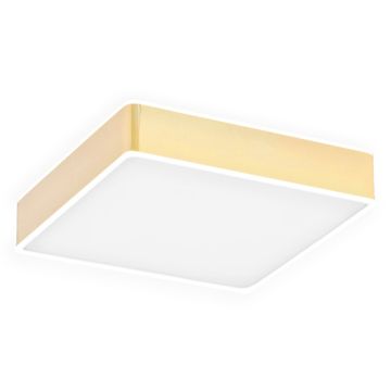 Argon ATLANTIS 4051 Plafonjera 1x32W/LED 3000K 3900LM IP20