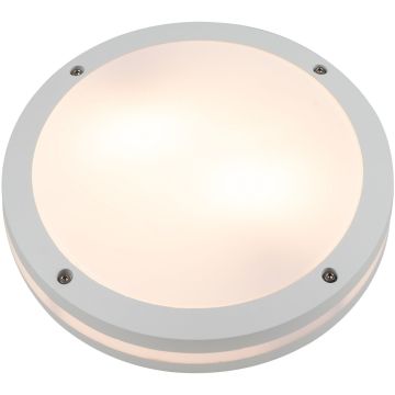 AZzardo FANO R 30 SMART LED RGB AZ4785 Plafonjera 24W/LED 2600K-6000K 1720LM IP54