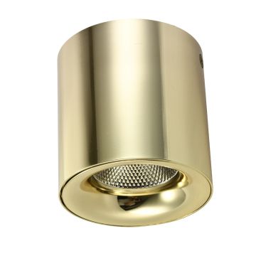 AZzardo MANE AZ4154 Natkriveno downlight svjetlo 1x20W/LED 3000K IP20