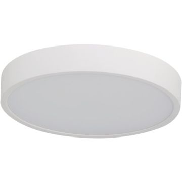 Azzardo PANDINO AZ6583 Plafonjera 1x23w/led 2800k/4000k/5400k 1518lm ip44