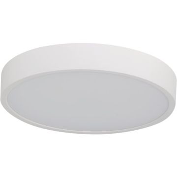 Azzardo PANDINO AZ6589 Plafonjera 1x24w/led 2800k/4000k/6000k ip44