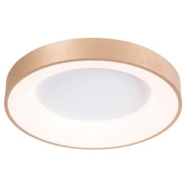 AZzardo SANTANA AZ4992 Plafonjera 1x50W/LED 3000K|6500K 3100LM IP20