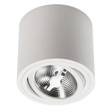 Lumifall CILO LMF.CILOESW Natkriveno downlight svjetlo IP20