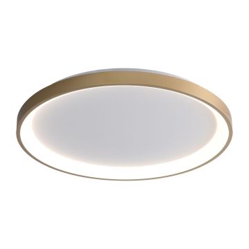Italux Raden CLN-3151-M-GD Plafonjera 1x50W/LED 3000K|4000K|6000K 2900lm IP20