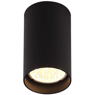 Maxlight PET ROUND C0142 Natkriveno downlight svjetlo 1x50w/gu10 ip20