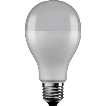 Eko-Light BULB EKZOS237 Žarulja 1x19W/E27 3000K 2451LM