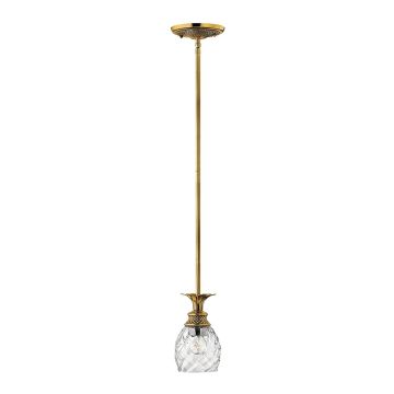 Hinkley Plantation HK-PLANTATION-MP-BB lampa wisząca 1x60W/E27  