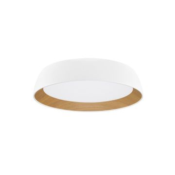 Luces Exclusivas CARACOLLO LE44811 Plafonjera 1x39W/led 3000k IP20 3081lm