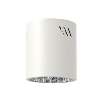 Milagro GEORGE ML0481 Natkriveno downlight svjetlo 1x60W/E27 IP20