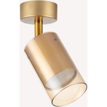 Zuma Line REN OB-2211BD-1-GLD Reflektor 1x50W/GU10