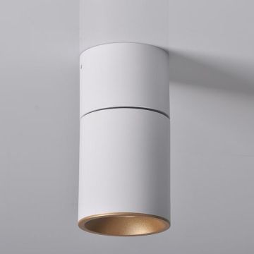 Polux ASTRA 314024 Natkriveno downlight svjetlo max 10W LED IP20