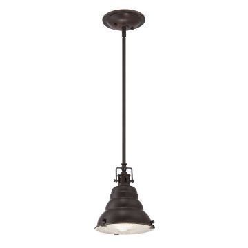 Quoizel EASTVALE QZ-EASTVALE-P-S Visilica 1x60W/E27