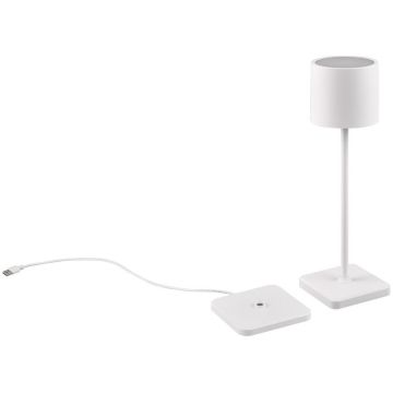 Trio FERNANDEZ R54096131 Stolna svjetiljka 1x1w/led 2700+4000+6000K 130lm ip54