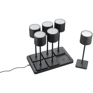 Trio FERNANDEZ R54096632 Stolna svjetiljka 6x1w/led 2700+4000+6000k 130lm ip20