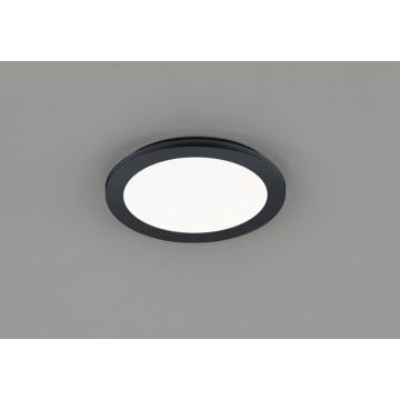 Trio CAMILLUS R62921532 Stropna svjetiljka 1x15w/led 3000k 1350lm ip44
