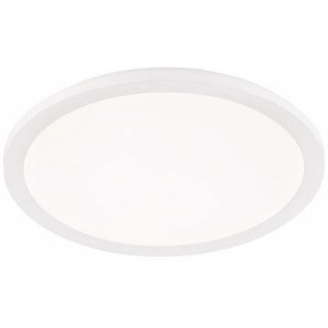 Trio CAMILLUS R62922401 Stropna svjetiljka 1x24w/led 3000k 2000lm ip44