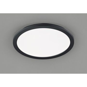 Trio CAMILLUS R62922432 Stropna svjetiljka 1x24w/led 3000k 2700lm ip44