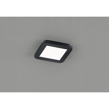 Trio CAMILLUS R62931032 Stropna svjetiljka 1x10w/led 3000k 850lm ip44