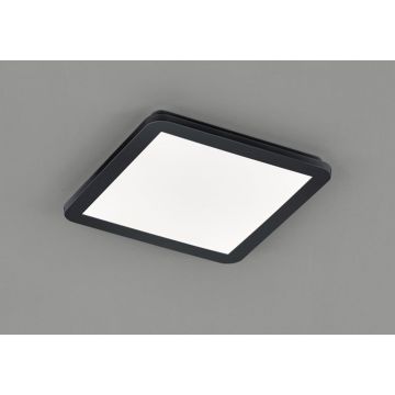 Trio CAMILLUS R62931832 Stropna svjetiljka 1x18w/led 3000k 1650lm ip44