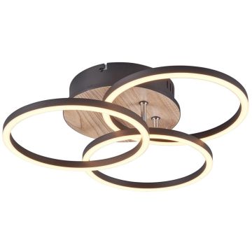 Trio CIRCLE R62823135 Stropna svjetiljka 1x27w/led 2700-6000K 3200lm ip20