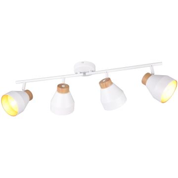 Trio VALENTIN R81924031 Reflektor 4x10w/e14 ip20