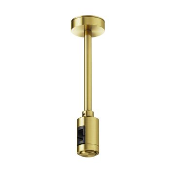 Maytoni Flarity TRA156C-SL1-BS Vjesalo