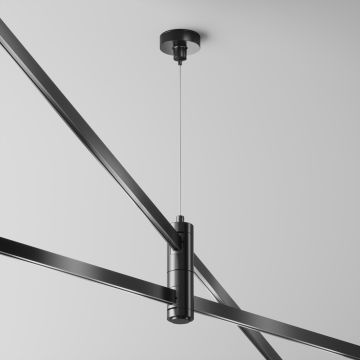 Maytoni Flarity TRA157SW-D1-B Vjesalo IP20