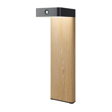 Maytoni Nordis O140FL-L2BK1 Stojeca svjetiljka 1x2W/LED 3000K 98lm IP65
