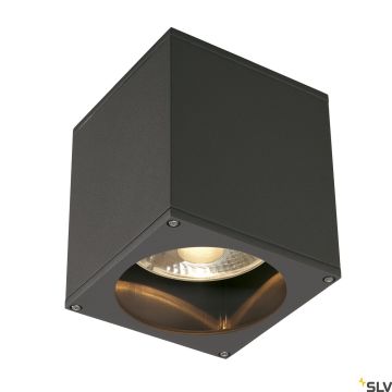 SLV THEO 229555 Plafonjera 1x75W/GU10/ES111 IP44