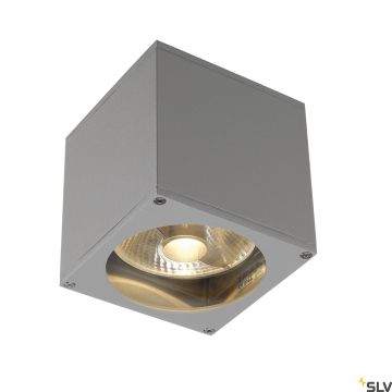 SLV THEO 229564 Zidna svjetiljka 1x75W/GU10/ES111 IP44