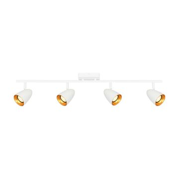 Italux Tino SPL-36748-4-WH-GD Reflektor 4x10W/GU10 IP20