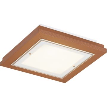 Argon TABOR 7268 Stropna svjetiljka 2x15W/E27 ip20