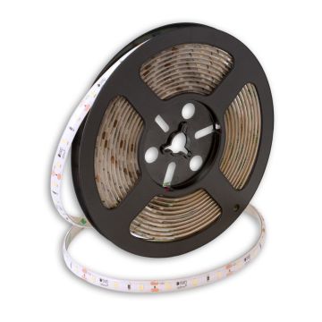 SMD LED PROline TAS4199SLL LED traka 60x6W/m/LED 4000K 720 lm/m IP20