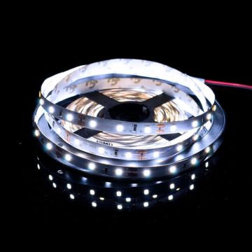 SMD LED PROline TAS4205SLL LED traka 60x6W/m/LED 6000K 620 lm/m IP20