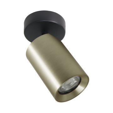 Zuma Line TORE TLS006-GLD Reflektor 1x35W/GU10 IP20