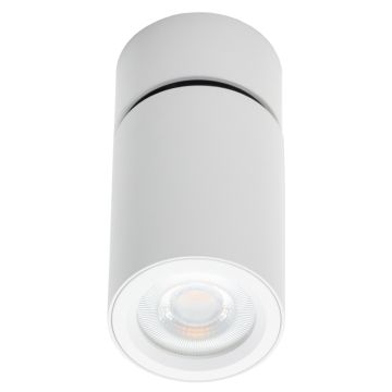 Lumifall XALO LMF.XALOW Natkriveno downlight svjetlo 1xGU10