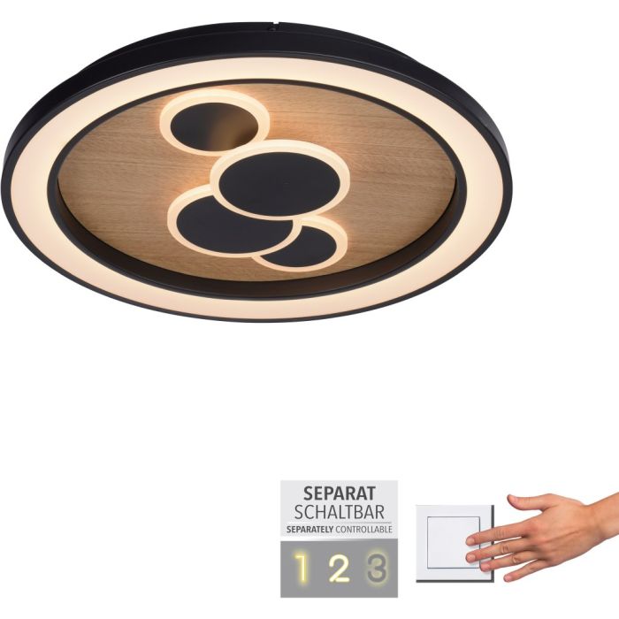 Paul Neuhaus-ELIZA-6284-79-PLN6284-79