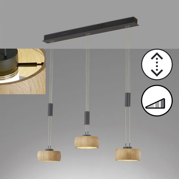 Fischer&Honsel-SHINE-WOOD-61093-FHL61093
