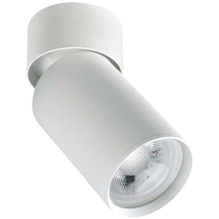 Zambelis-CEILING SPOT-S123-ZAMS123