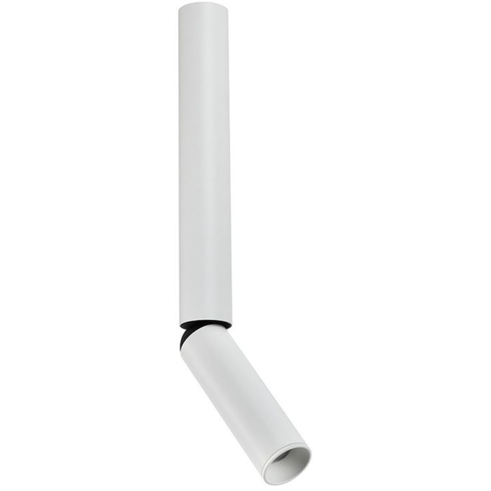Zambelis-CEILING SPOT-S218-ZAMS218